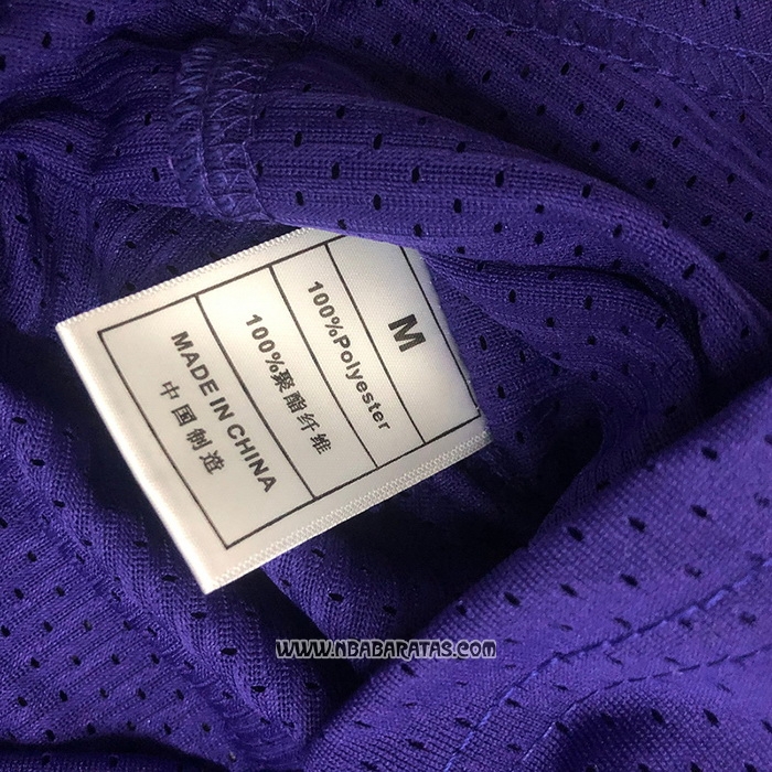 Camiseta Manga Corta Los Angeles Lakers Magic Johnson #32 Violeta